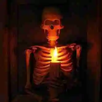 Eerie Glow Skeleton Wall Decor