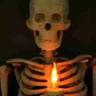 Eerie Glow Skeleton Wall Decor